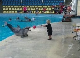 海豚男孩,探寻人与自然和谐共生的奇迹之旅