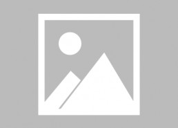 年年有余,探寻丰收喜悦与幸福生活的奥秘