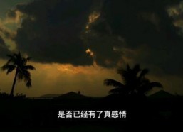 苦尽甘来遇见你,邂逅幸福时光